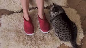 chaussons 100% naturels fabriqué au Danemark confort optimal