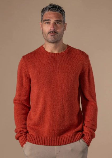 PULL FERNAND de chez ANONYM APPAREL Pull col rond en laine toute douce