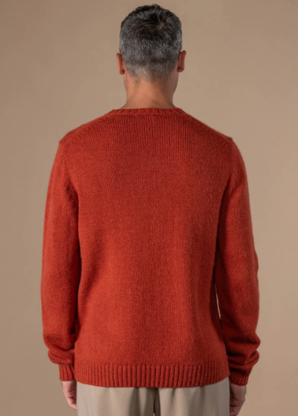 PULL FERNAND de chez ANONYM APPAREL Pull col rond en laine toute douce