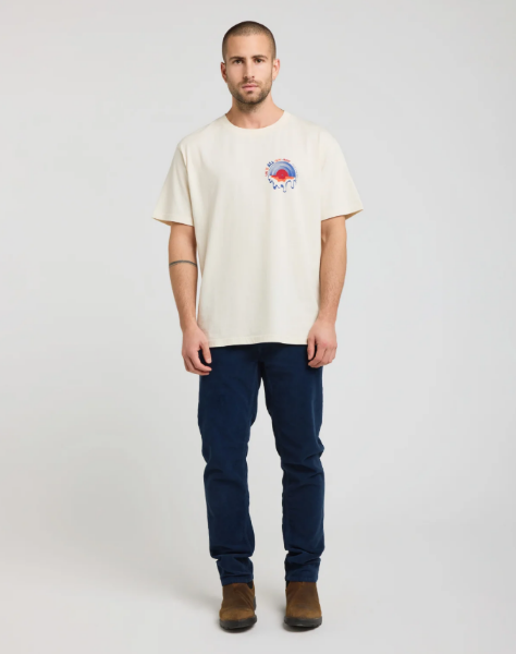 Pantalon Chino Velours Royroma de chez PULLIN