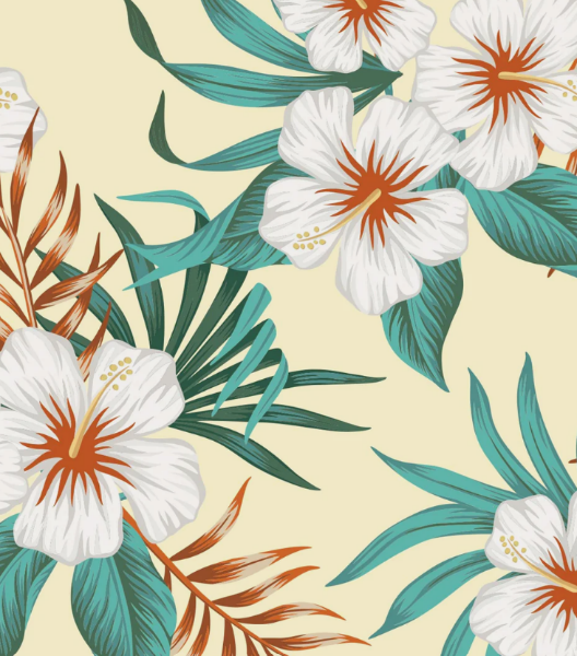 Calecon Ample Venich de chez PULLIN