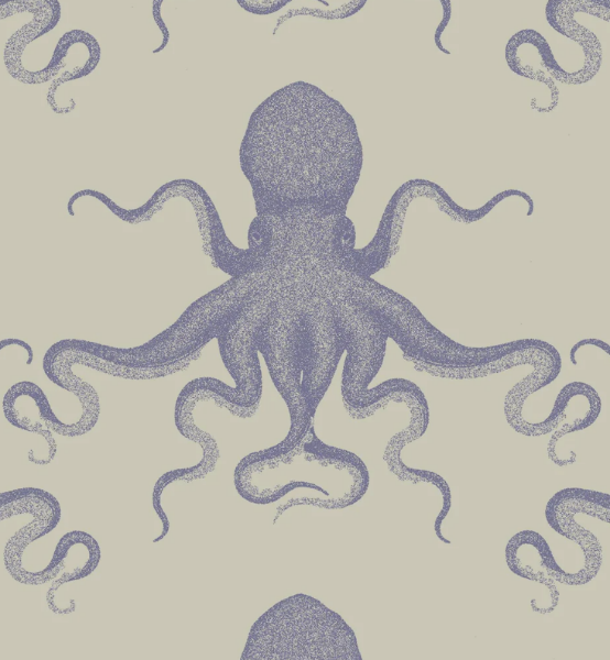 Calecon Parachute Spectre de chez PULLIN