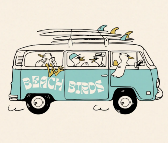 Tee Beach Birds de chez OCEAN PARK