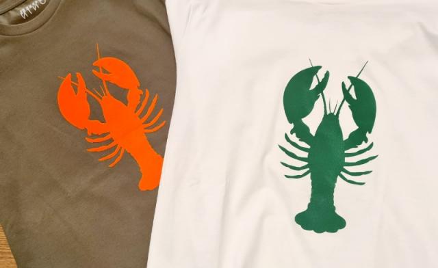 t-shirt Anouk et Ninon, cotton recyclé tout doux pour les femmes , les hommes et les enfants.