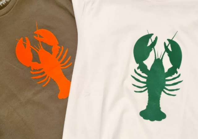 t-shirt ANOUK ET NINON fabrication Française coton biologique