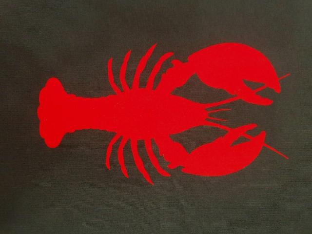 Sweatshirt ANOUK ET NINON homard - coton et polyester recyclé