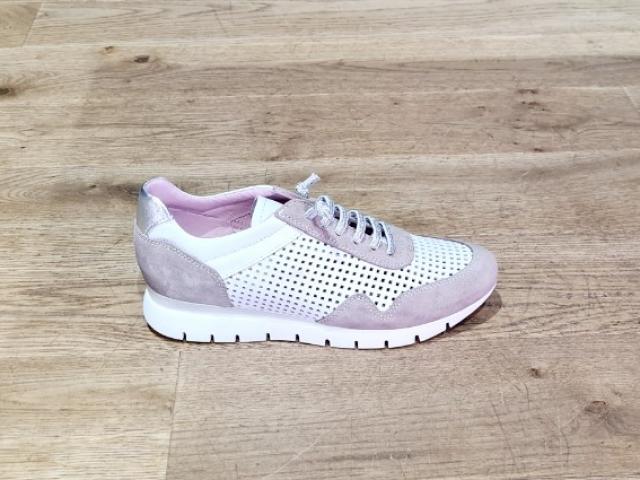 chaussure chacal 2019