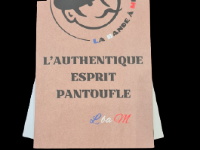 pantoufle la bande à Mich ( DORAC)  matière noble et respectueuse de l'environnement