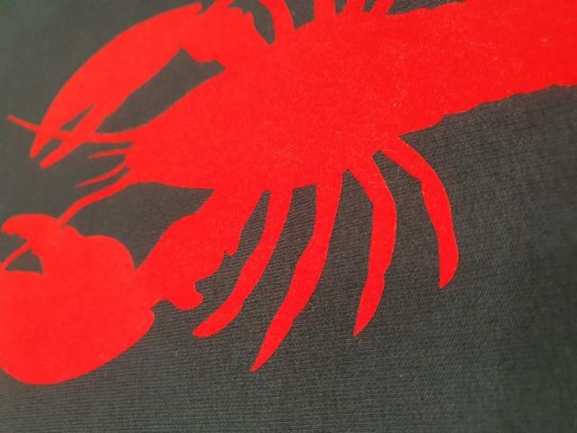 Sweatshirt ANOUK ET NINON homard - coton et polyester recyclé