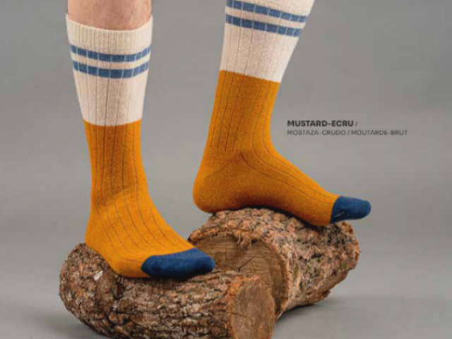 Chaussettes WOOLSENS qualité inégalé confort optimal, le pied!