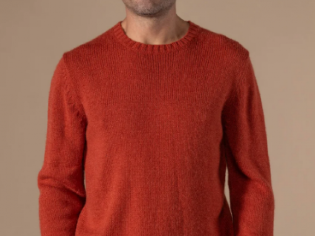 PULL FERNAND de chez ANONYM APPAREL Pull col rond en laine toute douce