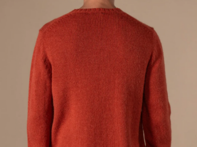 PULL FERNAND de chez ANONYM APPAREL Pull col rond en laine toute douce