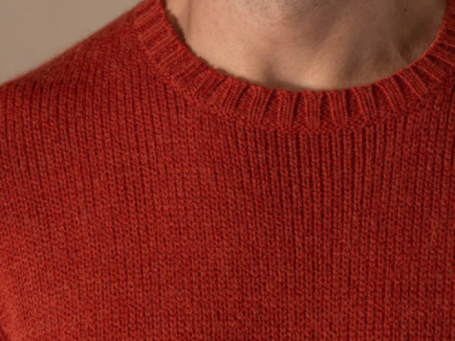 PULL FERNAND de chez ANONYM APPAREL Pull col rond en laine toute douce