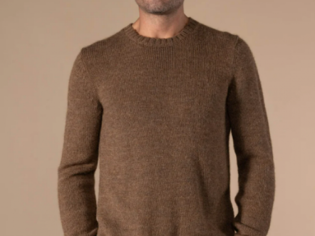PULL FERNAND de chez ANONYM APPAREL Pull col rond en laine toute douce