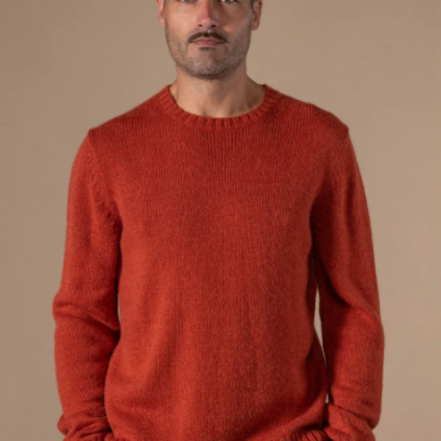 PULL FERNAND de chez ANONYM APPAREL Pull col rond en laine toute douce